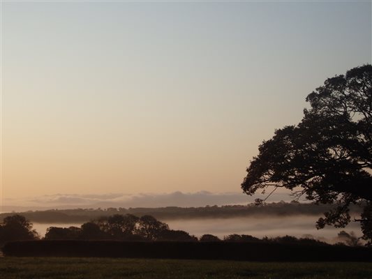 Early morning mist over Forda Farm Bed and Breakfast, EX22 7BS.